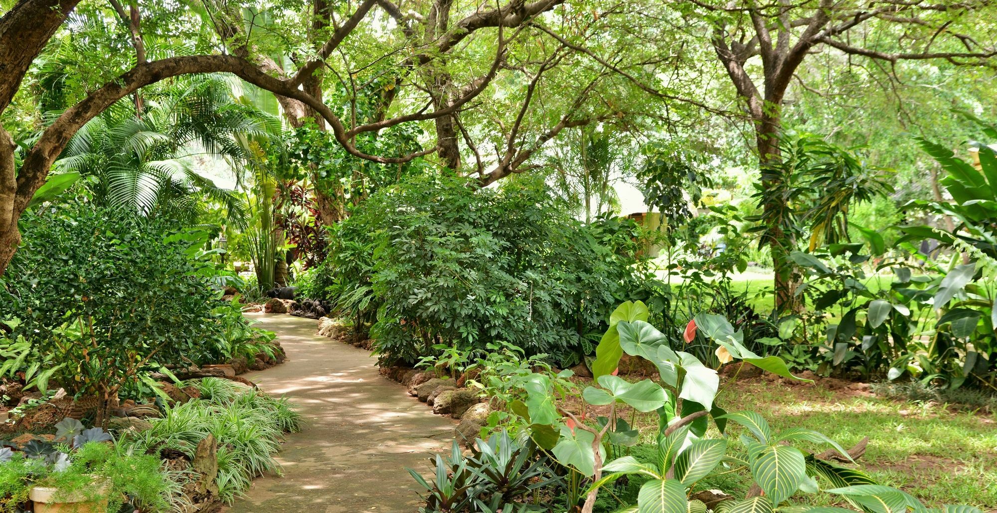 Bayete Guest Lodge 维多利亚瀑布 外观 照片