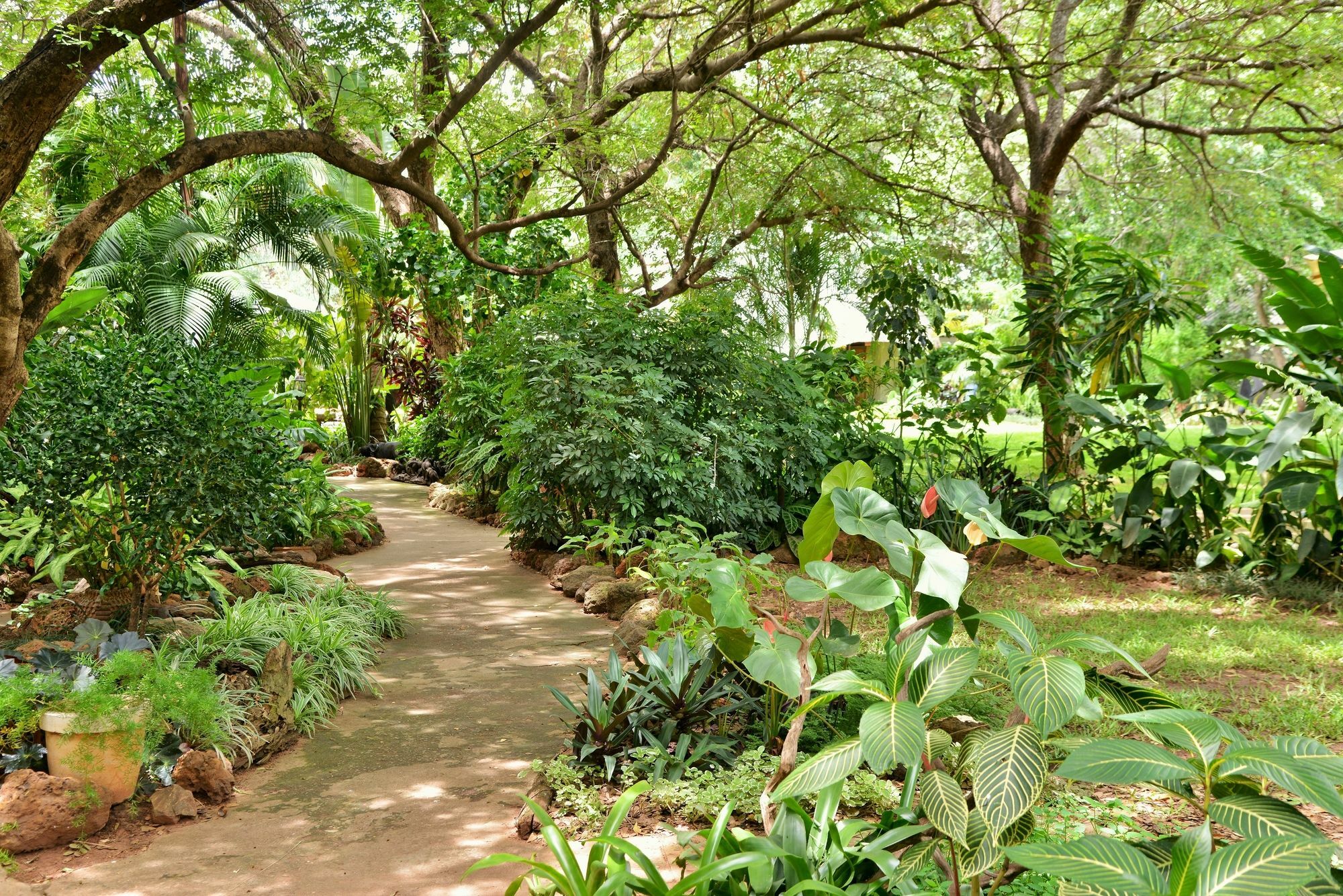 Bayete Guest Lodge 维多利亚瀑布 外观 照片