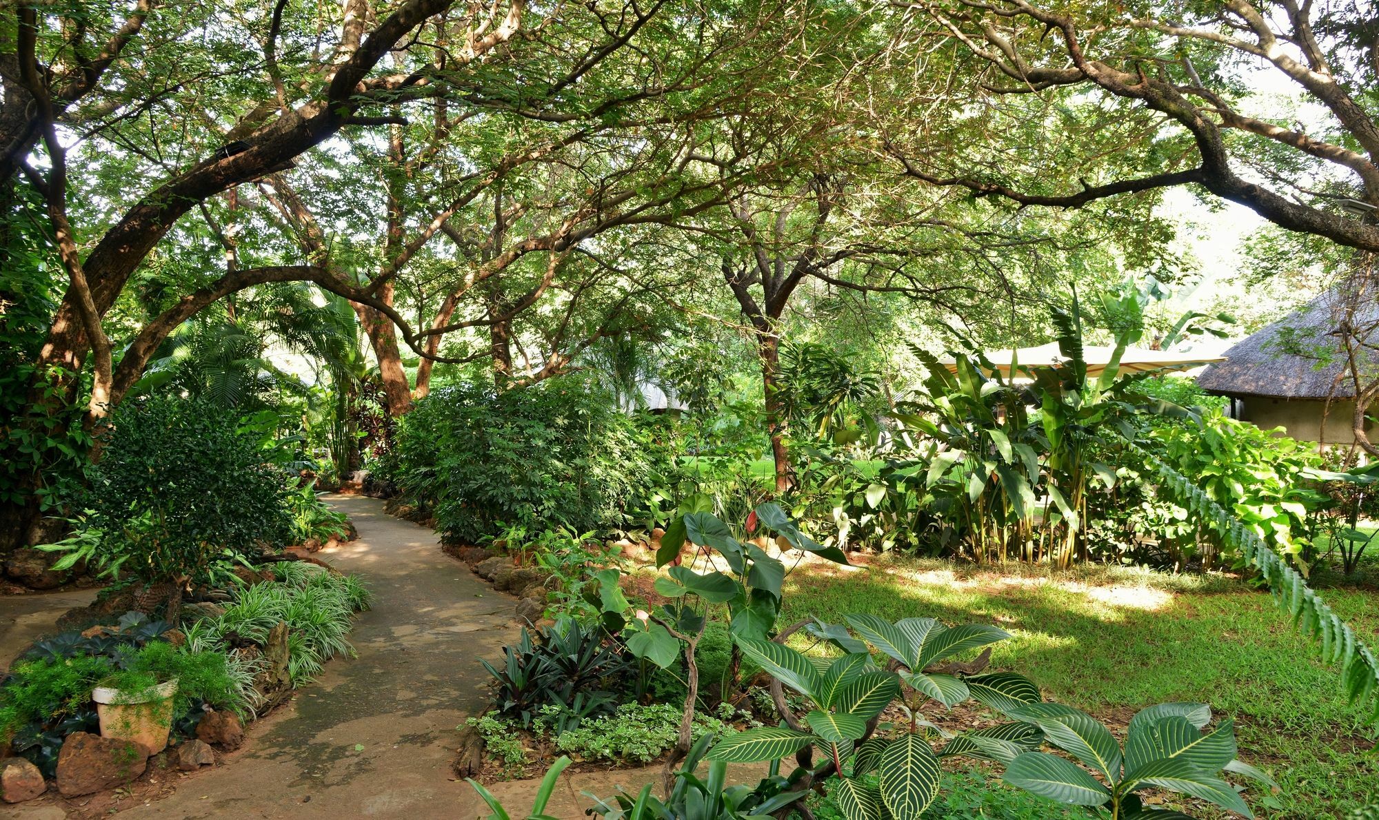 Bayete Guest Lodge 维多利亚瀑布 外观 照片
