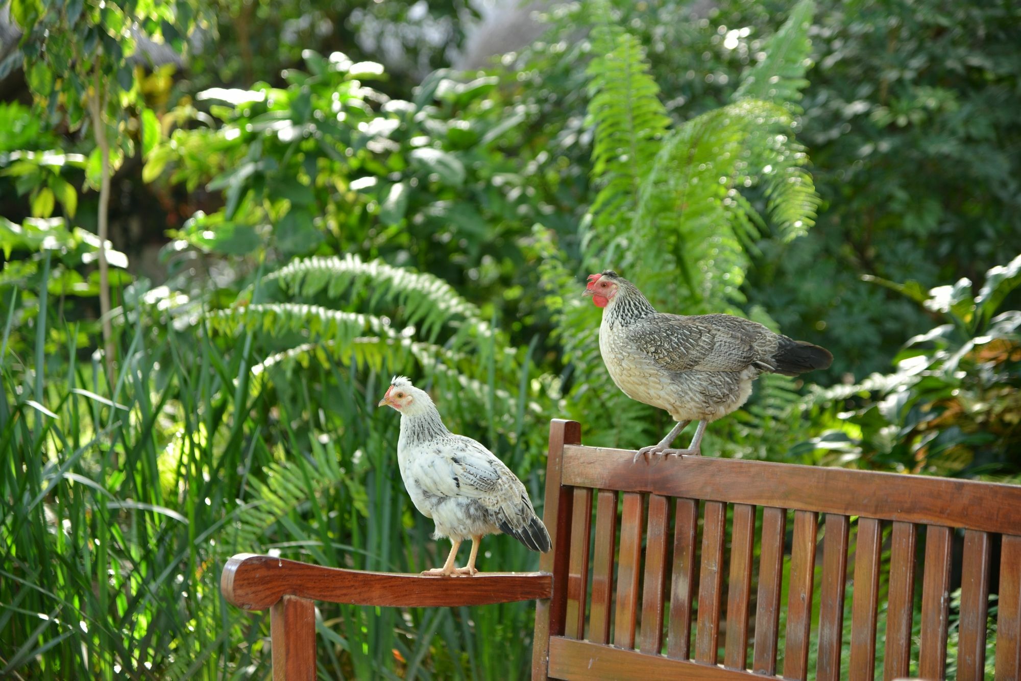 Bayete Guest Lodge 维多利亚瀑布 外观 照片